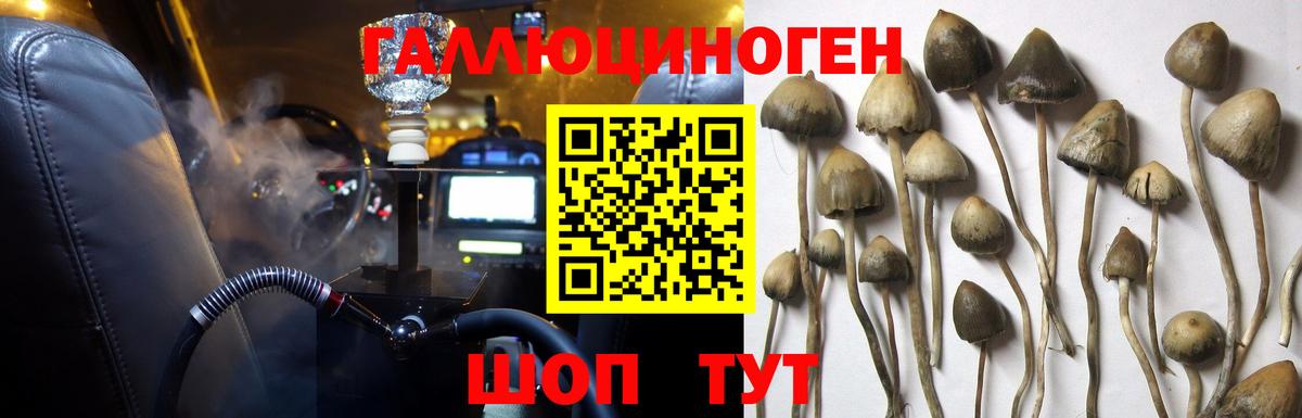 Псилоцибиновые грибы ЛСД  Псилоцибиновые грибы Cubensis  Оренбург  Вход с VPN 